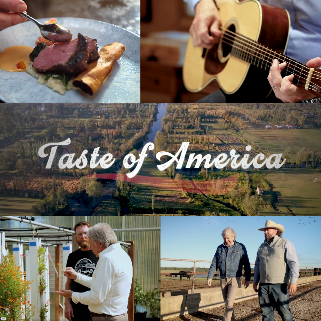 Taste Of America